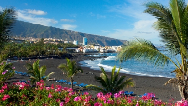 Tenerife den grønneste af De Kanariske Øer